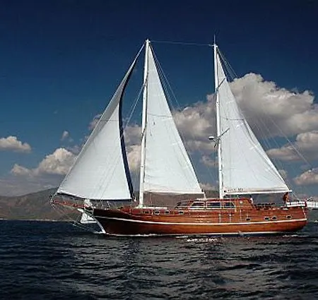 Barbaros Yachting Luxury Private Gulet 6 Cabins * Bodrum