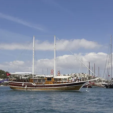 보트호텔 Barbaros Yachting Luxury Private Gulet 6 Cabins